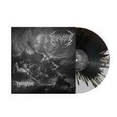 Disentomb Nothing Above (LP)