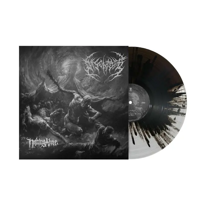 Disentomb Nothing Above (LP) 