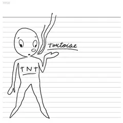 Tortoise TNT (CD)