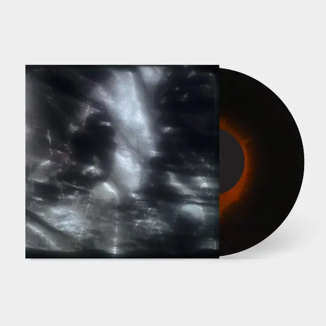 Warm Graves Ships Will Come - LTD (LP) 