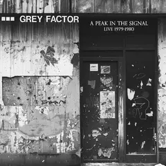 Grey Factor A Peak In The Signal (LP)