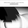 Bang/Duch/Honoré/Toop/Wastell Wunderkammer (LP)