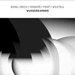 Bang/Duch/Honoré/Toop/Wastell Wunderkammer (LP)
