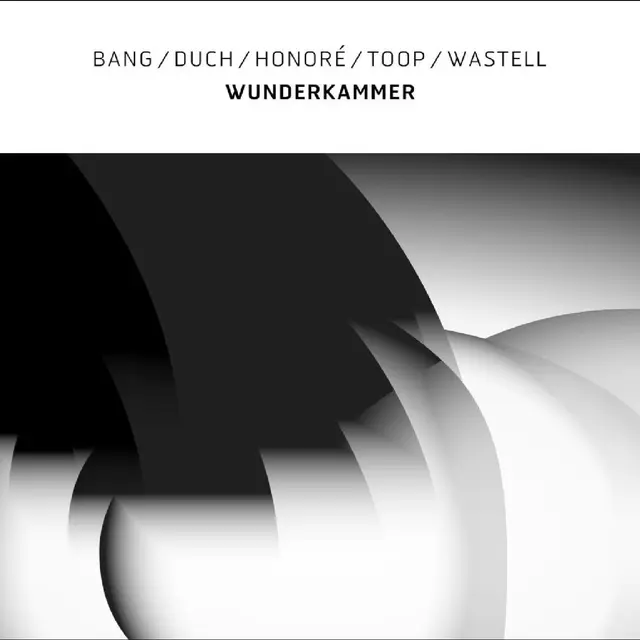 Bang/Duch/Honoré/Toop/Wastell Wunderkammer (LP) 