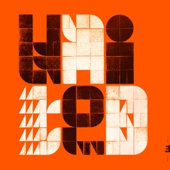 Dave Holland &amp; Lionel Loueke United - LTD (LP)