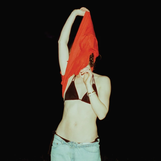 Anna Shoemaker Someone Should Stop Her (LP) 