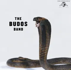 The Budos Band The Budos Band III (LP)