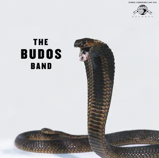 The Budos Band The Budos Band III (LP)