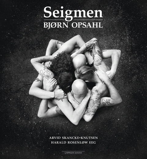 Bjørn Opsahl Seigmen (BOK)