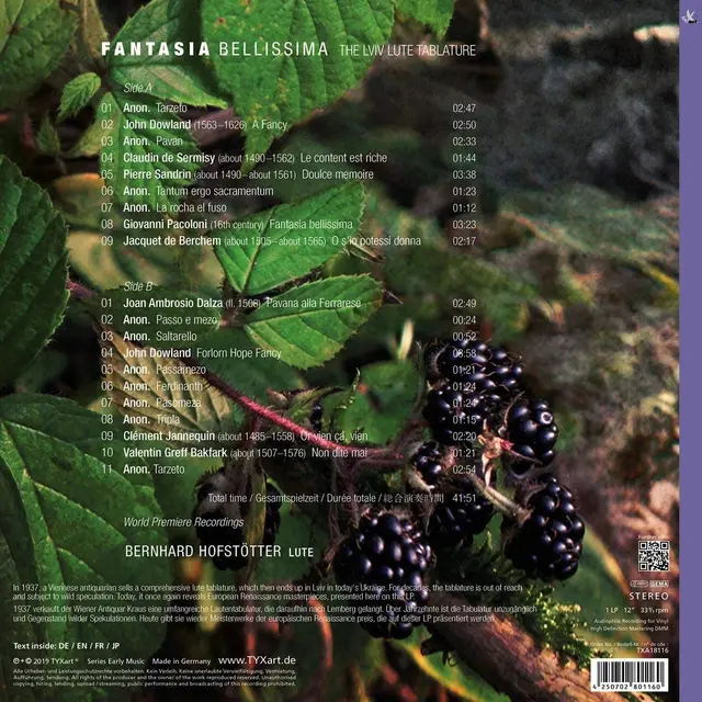 Bernhard Hofstötter Fantasia Belissima - The Lviv Lute… (LP) 