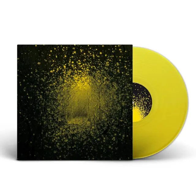 The Antlers Burst Apart - LTD (LP) 
