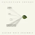 Sigurd Hole Extinction Sounds (LP)