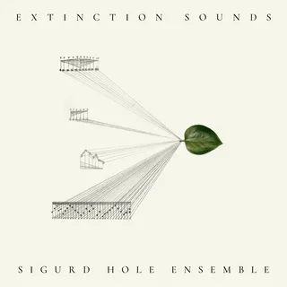 Sigurd Hole Extinction Sounds (LP)