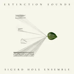Sigurd Hole Extinction Sounds (CD)