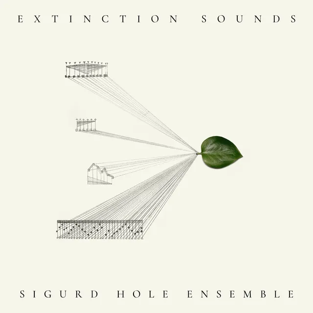 Sigurd Hole Extinction Sounds (CD) 