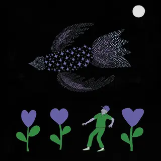 Bonnie 'Prince' Billy The Purple Bird (LP)