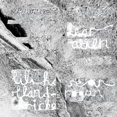 Lili Holland-Fricke &amp; Sean Rogan Dear Alien (LP)
