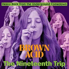 Diverse Artister Brown Acid - The Nineteenth Trip (LP)