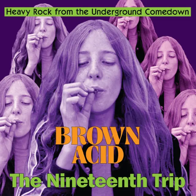 Diverse Artister Brown Acid - The Nineteenth Trip (LP) 