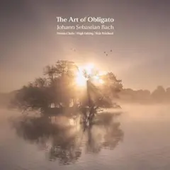 Davina Clarke The Art Of Obligato (CD)