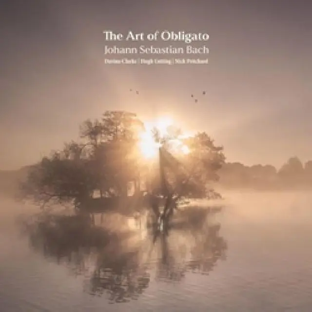 Davina Clarke The Art Of Obligato (CD) 