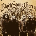 Black Stone Cherry Black Stone Cherry - LTD (LP)