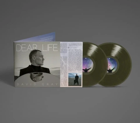 David Gray Dear Life - LTD (2LP) 