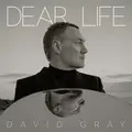 David Gray Dear Life - LTD (2LP)