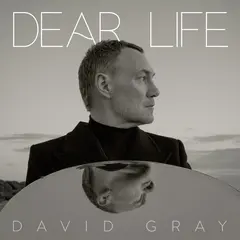 David Gray Dear Life - LTD (2LP)