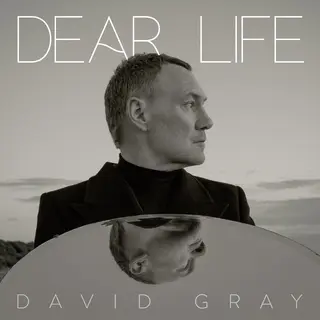 David Gray Dear Life (2LP)