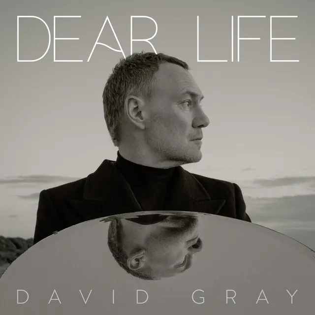 David Gray Dear Life (2LP) 