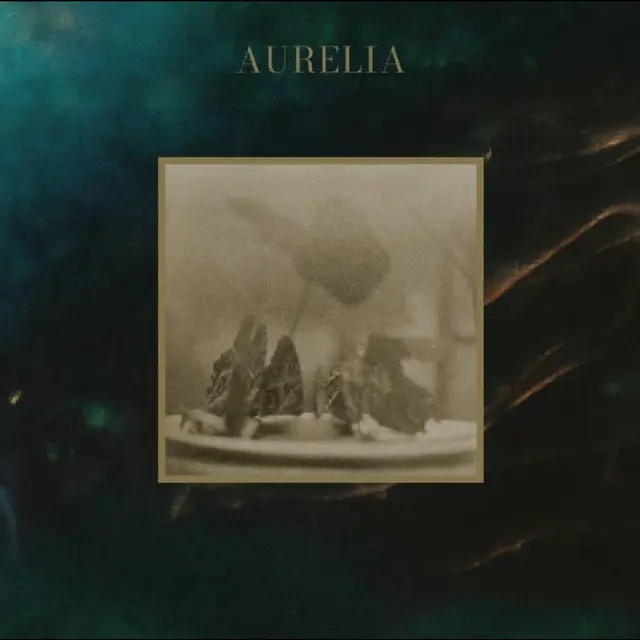 deary Aurelia (LP) 