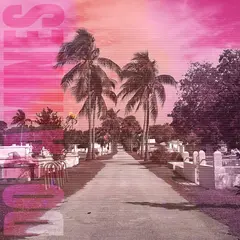 The Dopamines 80/20 - LTD (LP)