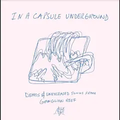 Wand In A Capsule Underground (LP)