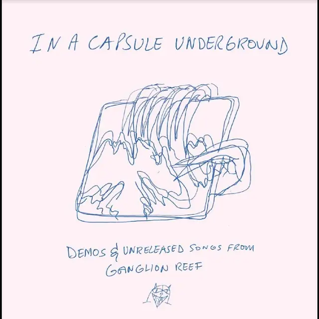 Wand In A Capsule Underground (LP) 