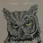 Needtobreathe Live From The Woods (2CD)