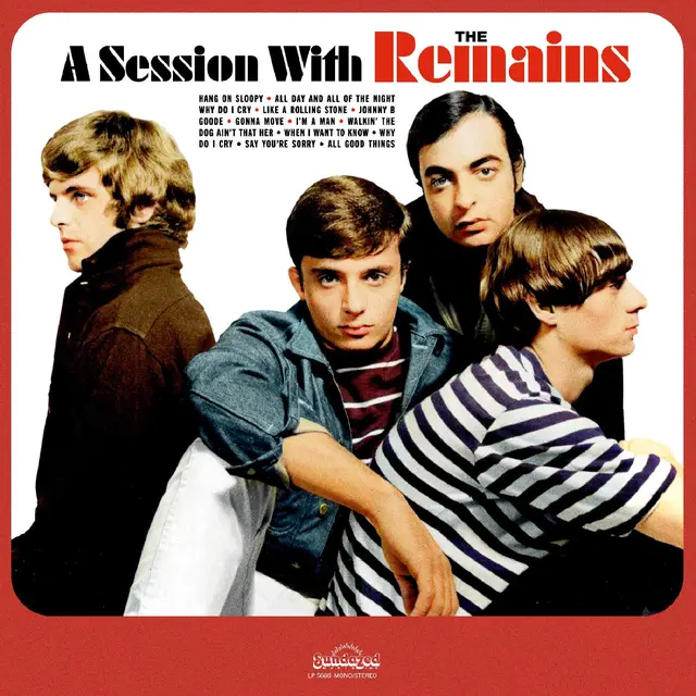 The Remains A Session With The Remains - LTD (LP) 