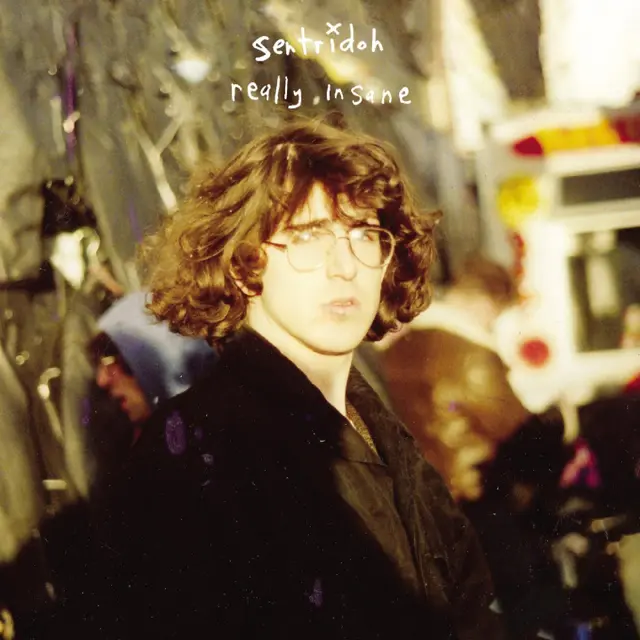 Sentridoh Really Insane: A Lou Barlow… - LTD (LP) 