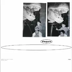 Vegyn Only Diamonds Cut Diamonds (2LP)