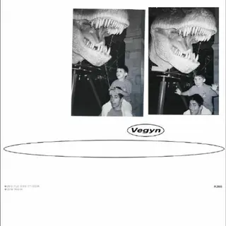 Vegyn Only Diamonds Cut Diamonds (2LP)