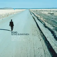 Echo &amp; The Bunnymen What Are You Going To Do With Your…(2CD)