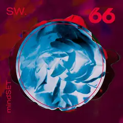 SW. mindSET (LP)