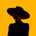 The Howlers What You've Got To Lose To Win It… (CD)