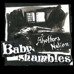 Babyshambles Shotter's Nation - LTD (LP)