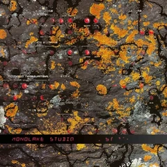 Monolake Studio (2LP)