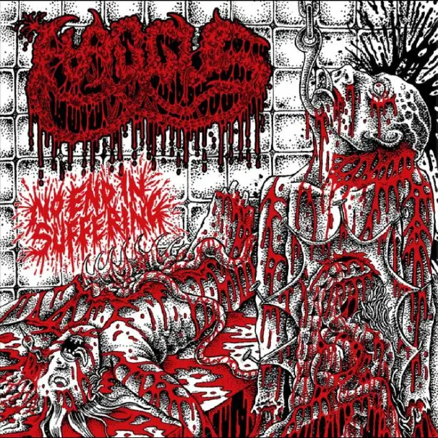 Haggus No End In Suffering (7") 