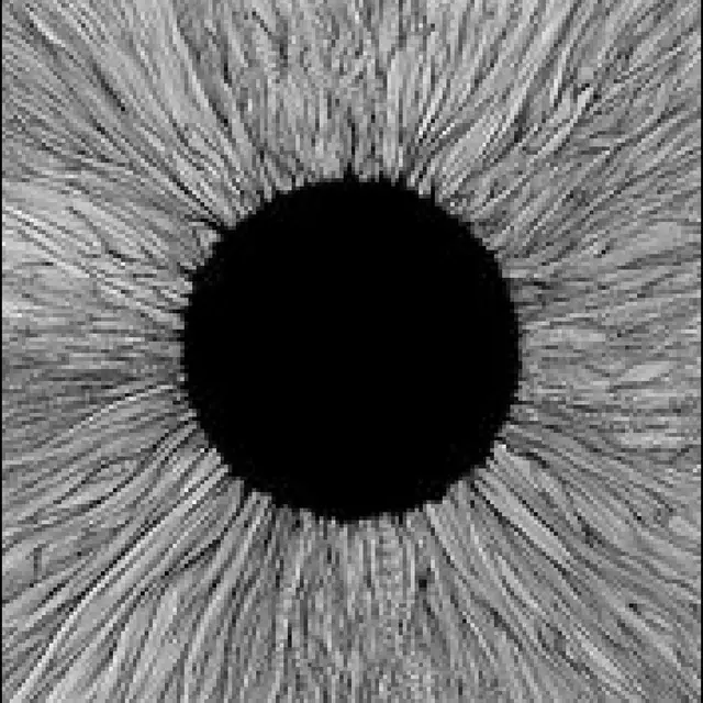 Vola Witness - LTD (LP) 