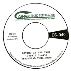 Unnatural Funk Band Strange Happenings/Living In The… (7")