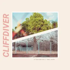 Cliffdiver At Your Own Risk // Small… - LTD (LP)