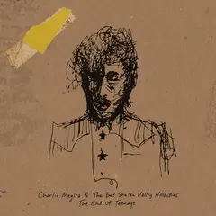 Charlie Megira End Of Teenage - LTD (2LP)